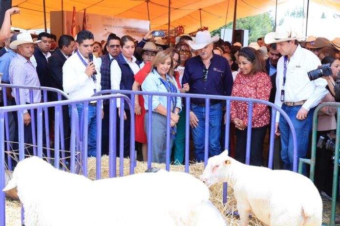 Entrega Histórica de Apoyos al Campo Tlaxcalteca Cercana a los 90 MDP - AlternativaTlx