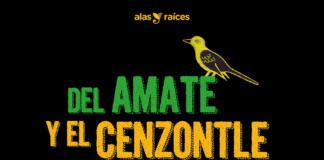 Alas y Raíces Anuncia Quienes Serán Parte del Tercer Encuentro Internacional de Oralidad, Lectura y Escritura “Del Amate y el Cenzontle” - AlternativaTlx