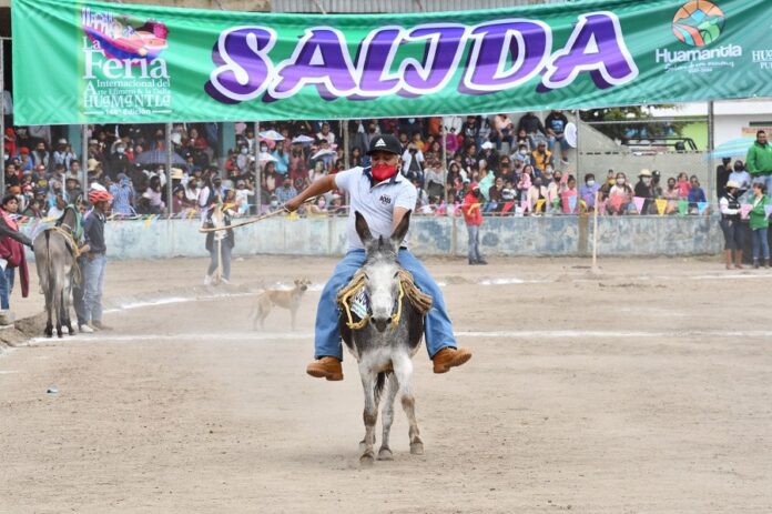 Invita Coordinación de Agricultura y Desarrollo Rural de Huamantla a los Eventos que Organiza en el Marco de la Feria - AlternativaTlx