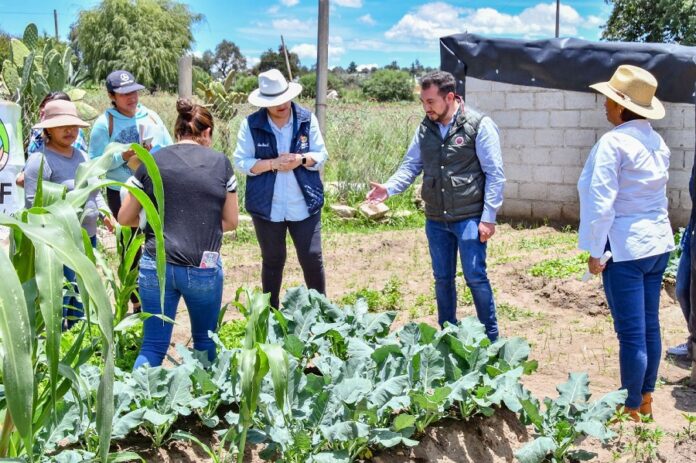 Invita SMDIF Huamantla al Programa “Salvando tu Alimentación con Hortalizas Orgánicas” - AlternativaTlx