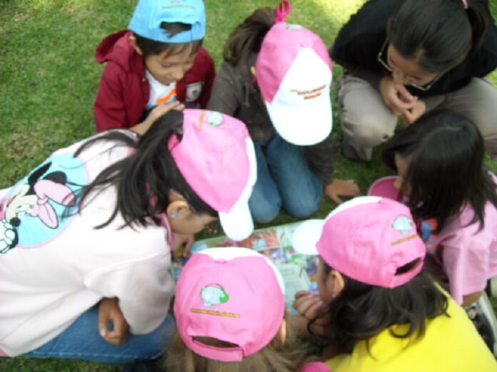 La Fonoteca Nacional Ofrecerá un Amplio Programa Gratuito de Cursos de Verano para estas Vacaciones - AlternativaTlx