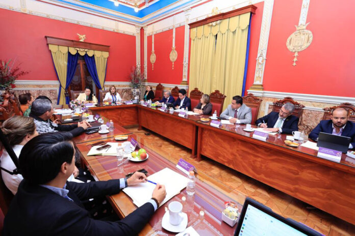 Reforzará Gobierno Federal Acciones contra Tala Clandestina en Tlaxcala - AlternativaTlx
