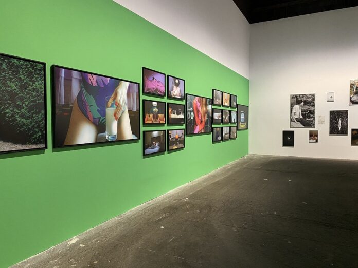Seleccionan a Alumna del Centro de la Imagen como Finalista en el Dior Photography and Visual Arts Award for Young Talents 2023 - AlternativaTlx