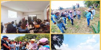 UATx y Universidad Chapingo Fomentan Conservación de Suelos en la Entidad - AlternativaTlx