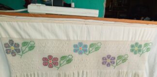 Empuntadoras de Rebozos, Mujeres con Arte en las Manos - AlternativaTlx