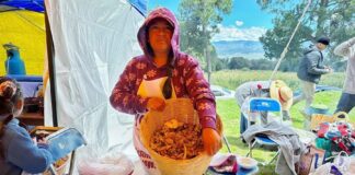 Anuncia Salvador Santos Cedillo Segunda Edición del Festival Gastronómico del Hongo - AlternativaTlx