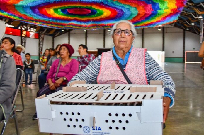 Autoridades del Ayuntamiento de Huamantla y de la SIA hacen Segunda Entrega de Paquetes de Especies Menores - AlternativaTlx