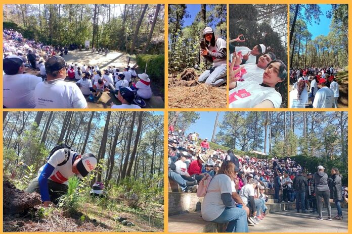 Colabora UATx en Reforestación del Parque Nacional La Malinche. - AlternativaTlx Colabora UATx en Reforestación del Parque Nacional La Malinche. - AlternativaTlx