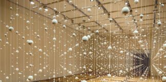 La exposición “Pico y Elote”, retrospectiva de Damián Ortega, llegará a la Ciudad de México para exponerse en el Palacio de Bellas Artes en 2024.