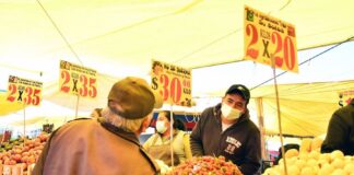 Regresa el Tianguis de los Miércoles al Recinto Ferial - AlternativaTlx