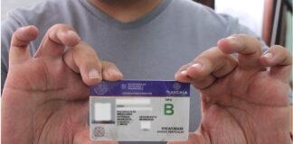 Tlaxcala, Octava Entidad En Contar con Licencia Digital. - AlternativaTlx