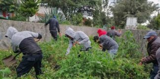 Atiende la Coordinación de Serviciós Públicos de Huamantla Áreas Verdes de la Ciudad. - AlternativaTlx