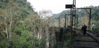Conoce el Ferrocarril Mexicano, Reconocido como Zona de Monumentos Históricos. - AlternativaTlx
