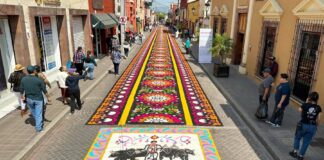 Conquista el Arte Efímero de Huamantla en la Marquesada 2023. - AlternativaTlx