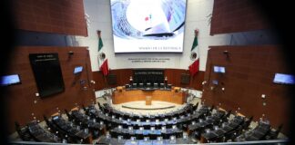 Crítica Alternativa • Senado: Manzana de la Discordia