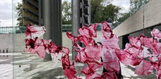 El CCD te Invita a Conocer la Pieza Virtual Aislada, en el Marco de la 51 Edición del Festival Internacional Cervantino. - AlternativaTlx