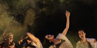 El Ceprodac Rendirá Homenaje Dancístico al Escritor Carlos Fuentes - AlternativaTlx