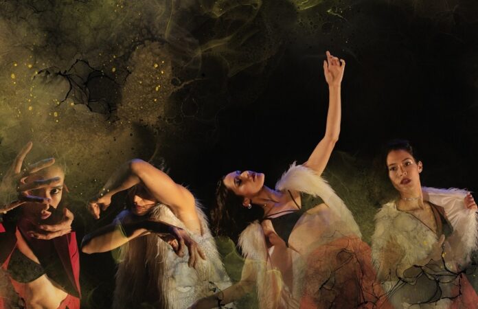 El Ceprodac Rendirá Homenaje Dancístico al Escritor Carlos Fuentes - AlternativaTlx