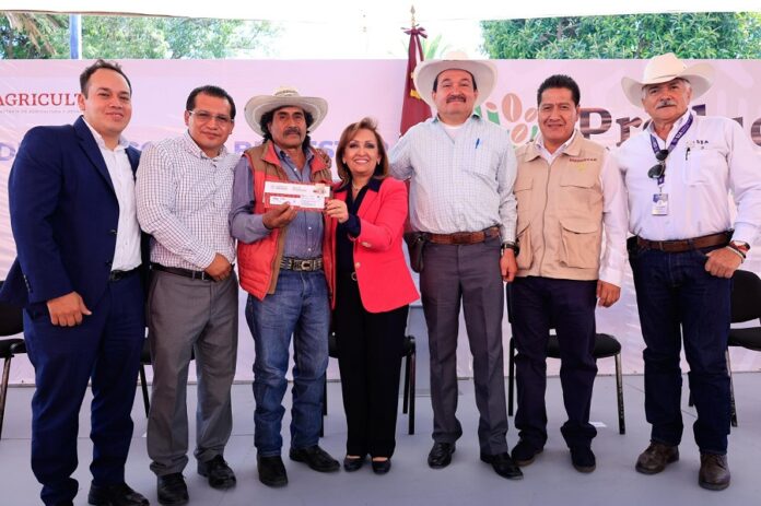 Encabezo Gobernadora Entrega de Tarjetas del Programa Producción para el Bienestar. - AlternativaTlx