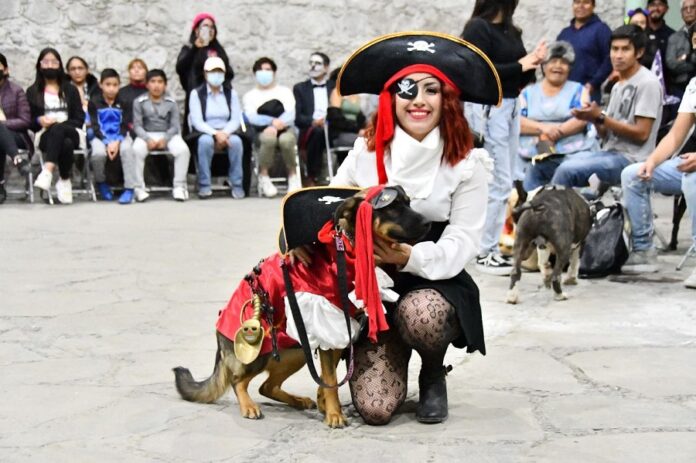 Inivita Gobierno de Huamantla a la Tercera Edición del Concurso de Mascotal “PERRORÍFICO”. - AlternativaTlx Inivita Gobierno de Huamantla a la Tercera Edición del Concurso de Mascotal “PERRORÍFICO”. - AlternativaTlx