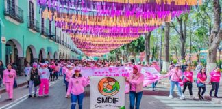 Participa el DIF Municipal de Huamantla en la “Caminata Rosa” en la Capital del Estado. - AlternativaTlx