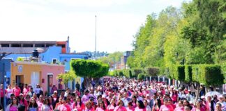 Promueve Gobernadora Prevención del Cáncer de Mama con “Caminata Rosa”. - AlternativaTlx
