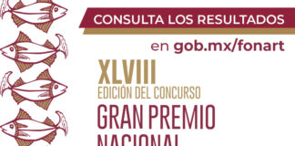 Se Anuncian los Resultados de la XLVIII Edición del Concurso Gran Premio Nacional de Arte Popular 2023. - AlternativaTlx