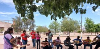 Semilleros Creativos de Sonora Llegan al 51 Festival Internacional Cervantino - AlternativaTlx