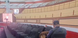 Supervisa Dirección de Seguridad Pública de Huamantla la Plaza de Toros “La Taurina”. - AlternativaTlx