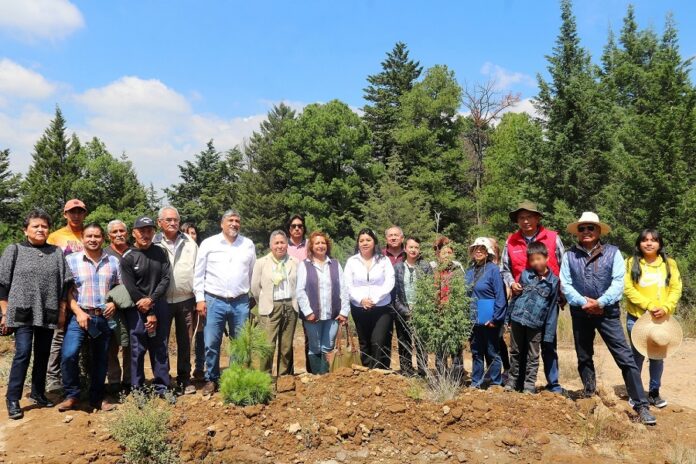 Trabaja la UATx en Rehabilitación Ecológica de Tlaxcala - AlternativaTlx