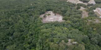 Aumenta en 20% el Recorrido por la Zona Arqueológica de Uxmal, en Yucatán, con la Apertura del Grupo El Palomar . - AlternativaTlx