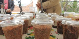 Bazar Joven y Expo Venta de Economía Social una Oportunidad de Impulso para el Sector Económico en Tlaxcala Capital. - AlternativaTlx