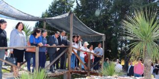 Celebró UATx Aniversario del Centro de Investigaciones en Ciencias Biológicas. - AlternativaTlx