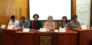 El Comité Revisor, Redactor y Traductor de la Norma de Escritura Mexihkatlahtolli (náhuatl), Junto con el Inali Revisan los Avances. - AlternativaTlx