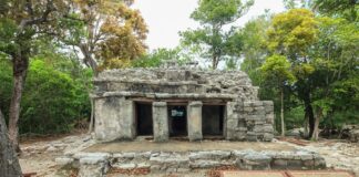 En Chichén Itzá, Yucatán, Emerge el Rostro Esculpido de un Guerrero. - AlternativaTlx