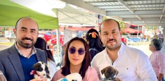 Exitosa, Segunda Jornada de Adopción Canina - AlternativaTlx