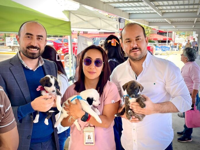 Exitosa, Segunda Jornada de Adopción Canina - AlternativaTlx