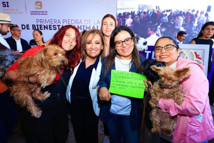 Inicia la Construcción de la Clínica de Bienestar Animal - AlternativaTlx