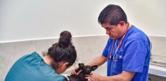 La Clínica Biofílica Canina y Felina de Huamantla Contribuye al Bienestar Animal con Servicios a Bajo Costo - AlternativaTlx