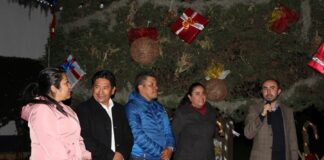 Realizó Secretaría de Medio Ambiente Encendido de Árbol Navideño - AlternativaTlx