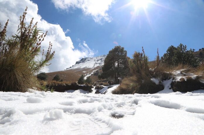 Recomienda Protección Civil de Huamantla a Visitantes Tomar Precauciones si Acuden a la Malinche - AlternativaTlx