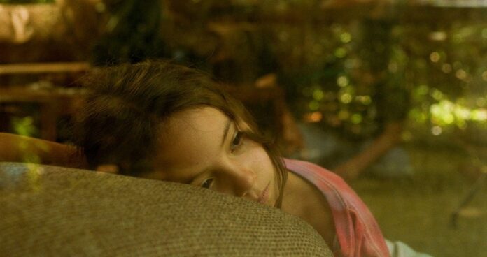 El Cine Mexicano más Sonado de 2023: Estos son Algunos de los Premios Obtenidos en México y el Mundo - AlternativaTlx