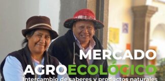 El Palacio de Cultura de Tlaxcala Cierra su Programación Decembrina con Diversas Actividades. - AlternativaTlx