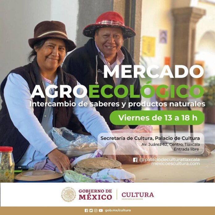 El Palacio de Cultura de Tlaxcala Cierra su Programación Decembrina con Diversas Actividades. - AlternativaTlx