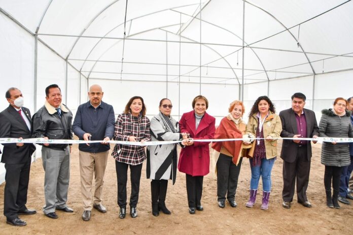 Inaugura Autoridades Invernadero Automatizado Para Cultivo de la Dalia en el Cbtis No. 61 de Huamantla - AlternativaTlx
