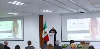 La Virgen de Guadalupe Tiene Cada Vez Mayor Protagonismo - AlternativaTlx