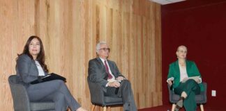 Presentan Resultados Sobre Investigaciones Educativas - AlternativaTlx