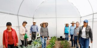 Con Vivero Comunitario Mejora la Alimentación y Economía en Atlangatepec. - AlternativaTlx