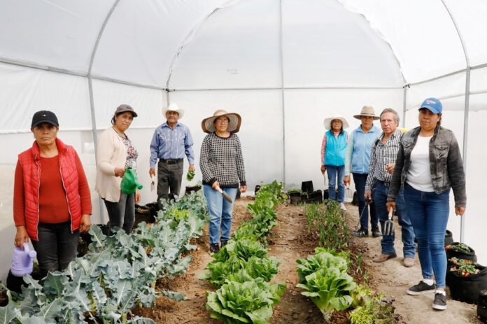 Con Vivero Comunitario Mejora la Alimentación y Economía en Atlangatepec. - AlternativaTlx