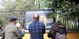 El Palacio de Cultura de Tlaxcala Inicia con su Programación de 2024 - AlternativaTlx